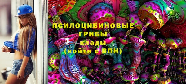 прущие грибы Верхнеуральск