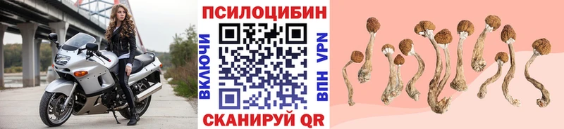 Галлюциногенные грибы MAGIC MUSHROOMS Выборг